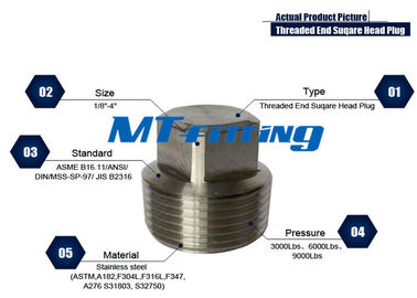 ASME B16.11 Forged High Pressure Pipe Fittings , ASTM A403 Square Head Plug Threaded End