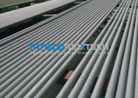 ASTM A213 Stainless Steel Seamless Tube Pickling And Annealing