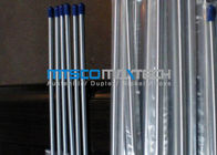 Seamless Sanitary Tube ASTM A213 / A269 Polished 400 # 320 # ISO 9001 , Seamless Tube for Chromatogrphy