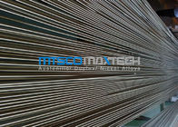 TP317L Stainless Steel Seamless Tube , BA Tube ISO 9001 / PED