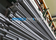 ASTM A213 / A312 Stainless Steel Seamless Tube , Cold Drawn Tube , EN10216-5 TC 1 D4 / T3