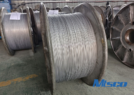 ASTM / JIS / EN 603 / SUH660 Stainless Steel Spring Wire Annealed Soft Condition