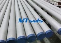 TP304 , TP304L , TP316 , TP316L Stainless Steel Pipe , SS Seamless Pipe