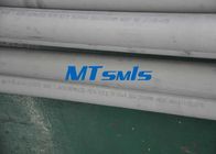 Industrial Stainless Steel Seamless Pipe S30908 / S31008 Seamless Stainless Tube
