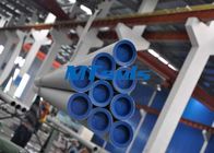 S30403 S31603 Stainless Steel Seamless Pipe Plain End for Chemistry / Building