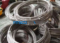 S31600 / S31603 6.35mm Stainless Steel Coil pipe Seamless Stainless Tube