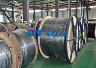 316L / 1.4404 Welded Coiled Seamless Stainless Steel Pipe For Multi - Core Tube