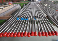 Cold Rolled TP321 / 321H Stainless Steel Sanitary Tube For Food Industry