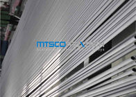 ASTM A789 SAF2205 / 2507 Duplex Steel Tube With Bright Annealed Surface