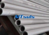 ASTM A790 / A789 F51 / F53 Annealed / Pickled Duplex Steel Seamless Pipe