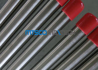 1 / 4 Inch Sch10s TP316 / 316L Bright Annealed Tube , Seamless Boiler Steel Pipe
