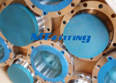 ASME / ANSI B16.5 2205 / 2507 Flanges Pipe Fittings , Duplex Steel Slip On Flange