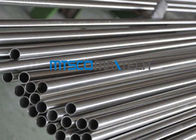 ASTM A213 / ASME SA213 Seamless Precision Stainless Steel Tubing S30400 /30403 For Food Industry