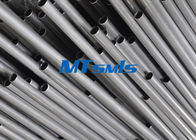 ASTM A249 TP316L / 1.4404 Straight Stainless Steel Welded tubing With ERW / EFW
