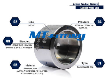 Galcanized Forged High Pressure Pipe Fittings F304 / 304L 2 inch Stainless Steel Socket Welded Cap