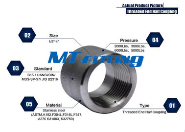 ASME B16.11 F11 / F22 Stainless Steel Socket Welded / Threaded  Boss 2000LBS For Connection