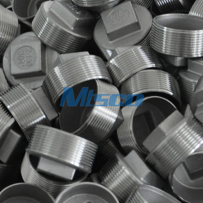 ASTM A351 304 316 Stainless Steel Square Plug Casting Pipe Fittings