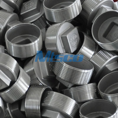 ASTM A351 304 316 Stainless Steel Square Plug Casting Pipe Fittings