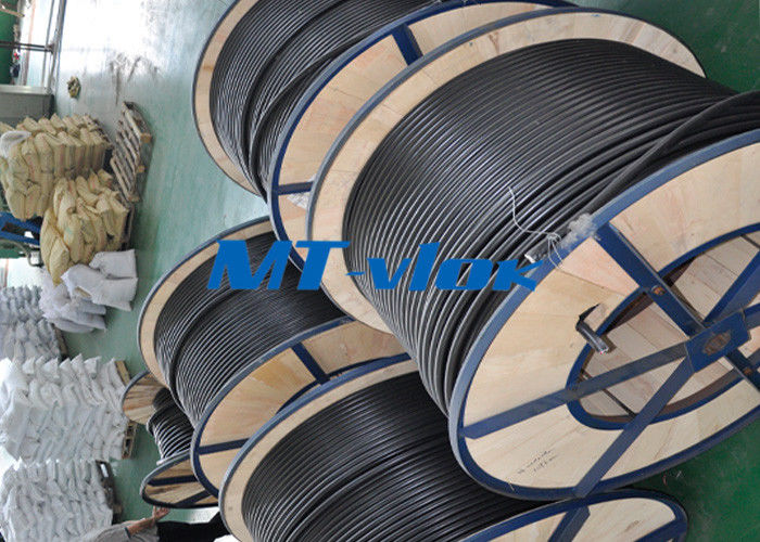 ASTM Stainless Steel Coiled Tubing Multi - Core Seamless Stainless Steel Pipe
